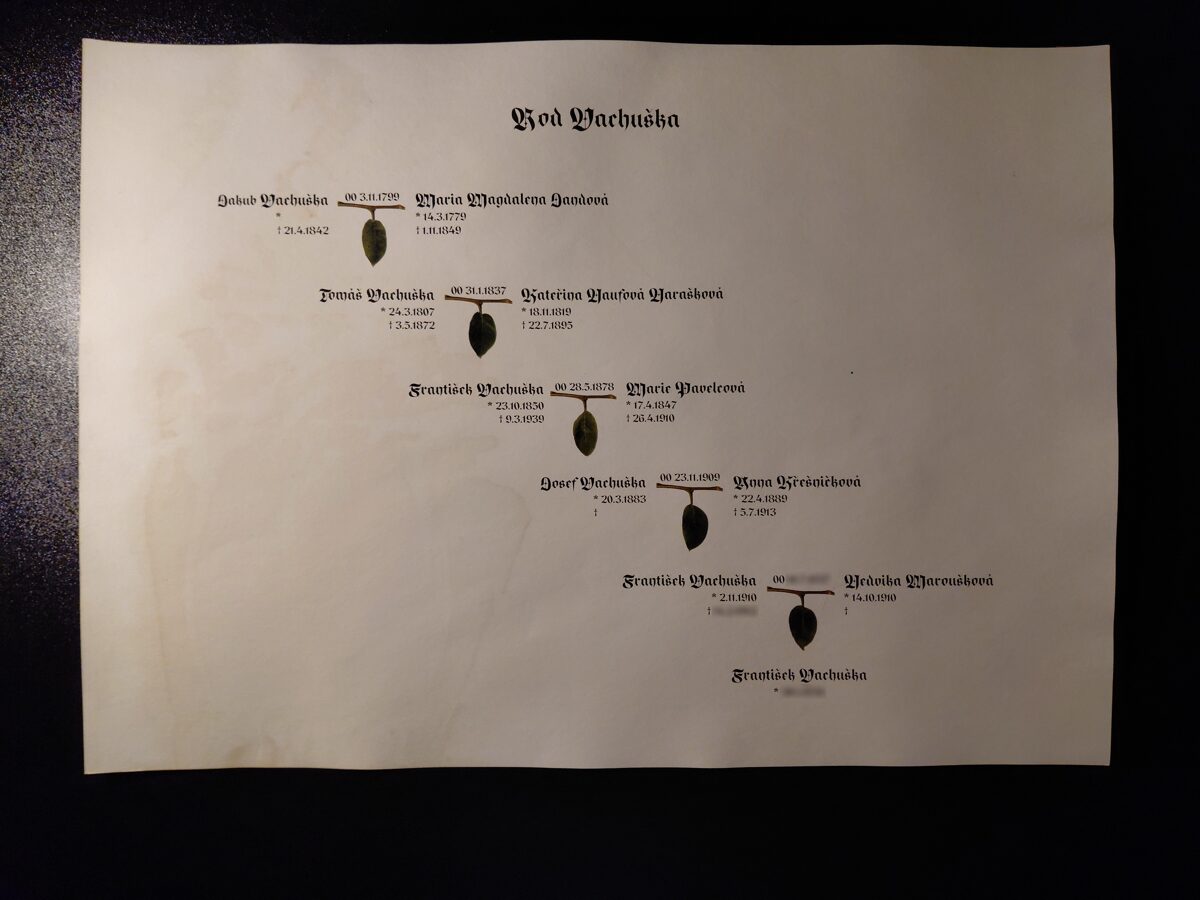 1__Jedna_rodova_linie_Frantiska_Vachusky_rozmazane.jpg