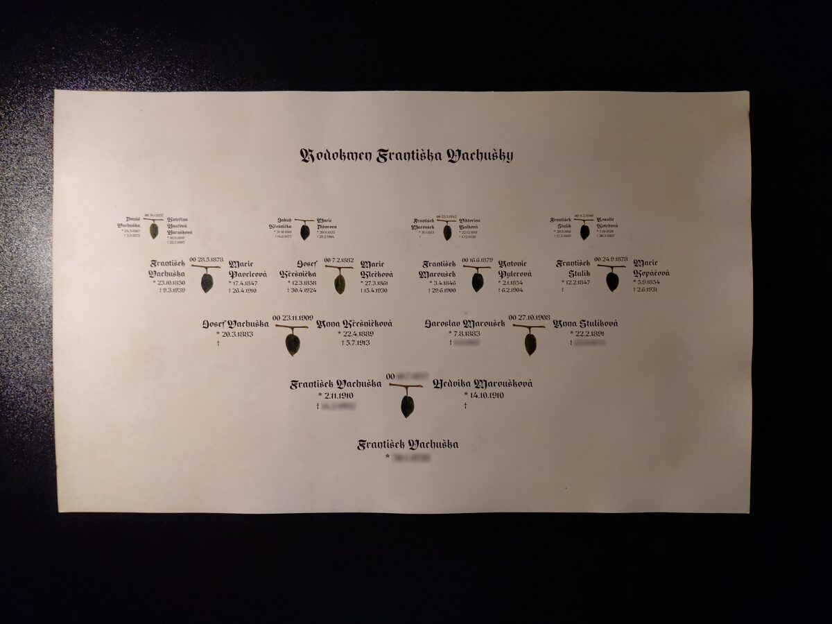 3__Ctyri_rodove_linie_Frantiska_Vachusky_rozmazane.jpg