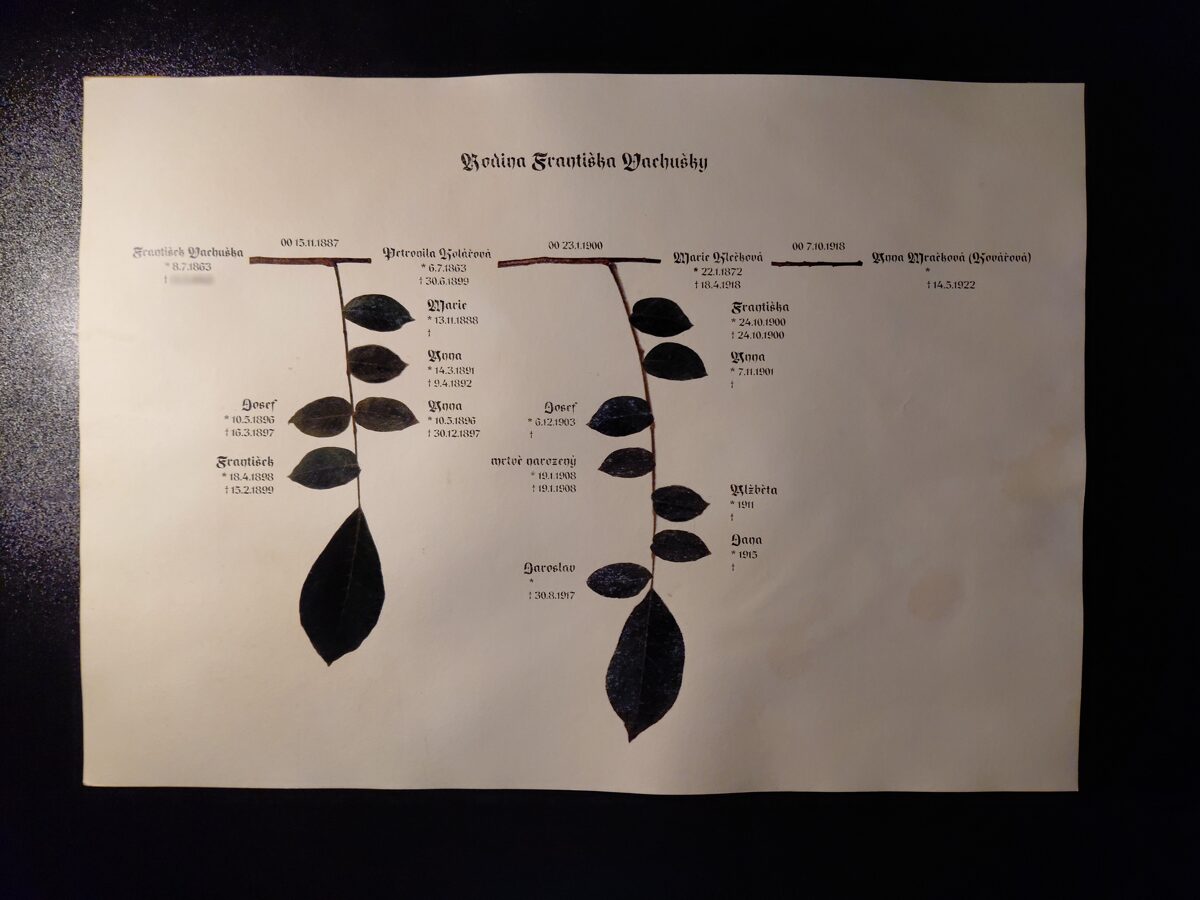 5__Rodina_Frantiska_Vachusky_rozmazane.jpg